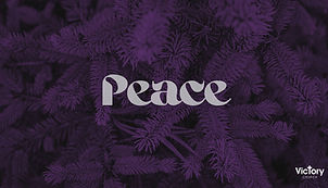 Matt's Sermon 113025 (1).jpg