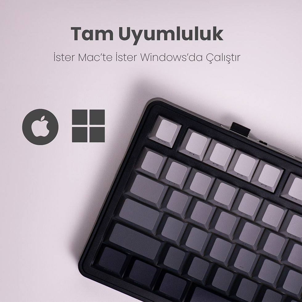 Küçük resim: Beast 75 Wireless Mekanik Klavye