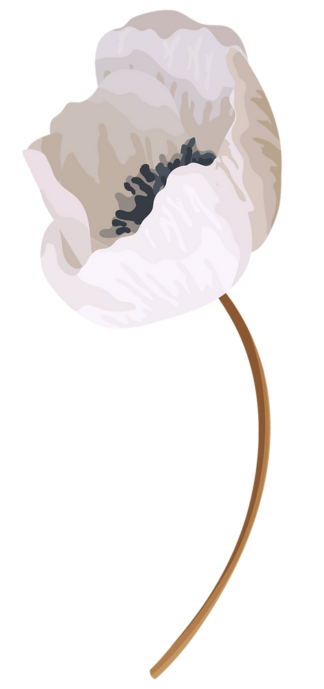 AdobeStock_436538196 _5_edited.png