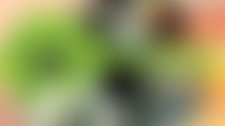 Ciclo Mulheres nas Artes oferece formação gratuita na área de gestão cultural