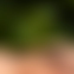 Mudanças climáticas preocupam o mundo e influenciam debates sobre o meio ambiente