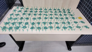 PMES apreende mais de mil pedras de crack em Vila Velha