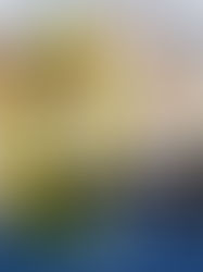 Estudante de VV representa o Brasil em campeonato internacional de Engenharia de Petróleo