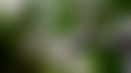 70 bairros de Vila Velha ficarão sem água no sábado