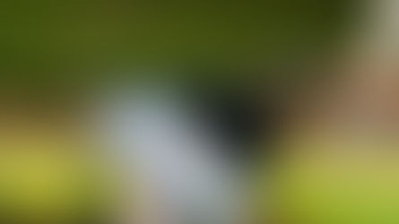 Trabalhar de bike: cada vez mais pessoas usam a bicicleta para ir ao trabalho