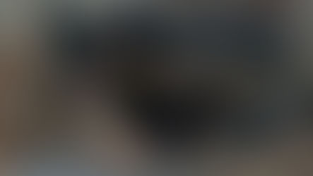 Dois gambás são resgatados esta semana em Vila Velha