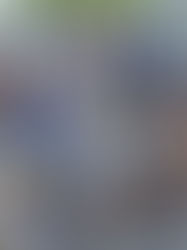 Congo Mirim da Abeca encanta estudantes