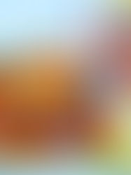 STF garante que licença médica não pode reduzir direito a férias de servidores públicos