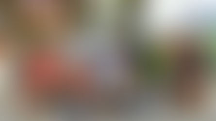 Rendeiras da Barra do Jucu são destaques no Ceará. Baixe e-book gratuito!