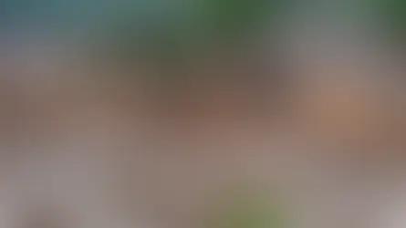 Advogados denunciam Plataforma de Indenização da Samarco e alertam risco de Prejuízo aos Atingidos