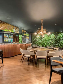 Cidade & Sociedade IV - Vereador destaque nacional, Wine Bar de alta gastronomia, Novas lojas em shopping e mais