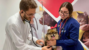 Faculdade leva atendimento veterinário à comunidade