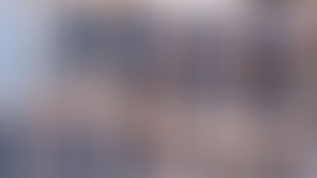 Cena de terror - Cães se alimentando de outros mortos são resgatados pela PMVV