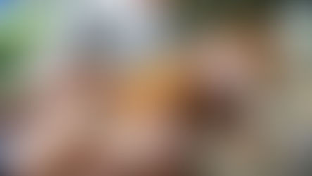 Campanha anual de vacinação antirrábica começa sábado