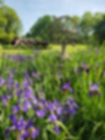 flower garden