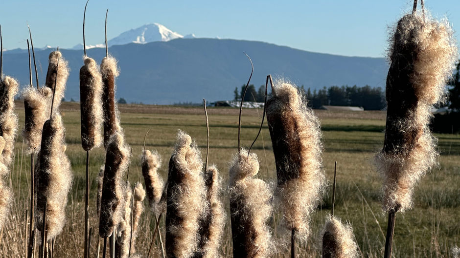 Getting Ready to Cross Canada