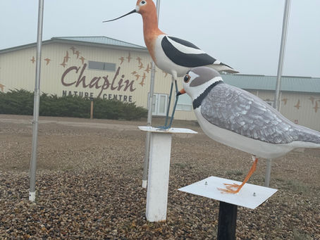 Day 23 - Chaplin, SK to Regina, SK
