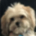 Charlie