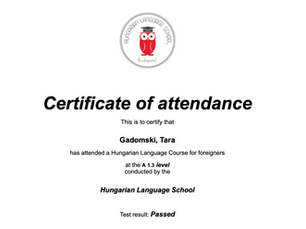 Part 3 - My Journey to Hungarian Citizenship