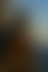 19. Heroes and Villains of the Age of Exploration: The Journeys of Giovanni da Verrazzano