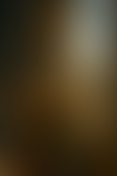 2. Heroes and Villains of Ancient Persia: The Elamite Civilization