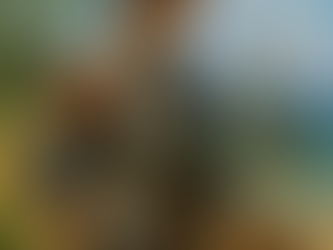 8. Heroes and Villains of the Age of Exploration: The Journeys of Juan Ponce de León