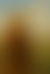 1. Heroes and Villains of Ancient Persia - Unnamed Land: Geography of Ancient Persia (Modern-Day Iran)