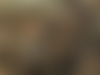 10. Heroes and Villains of the Reconstruction Era: Black Codes & Sharecropping