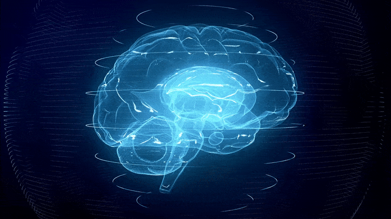 3D-Brain-Illustration.gif