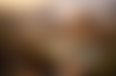 11. Lesson Plan for Ancient China: The Han Dynasty of Ancient China