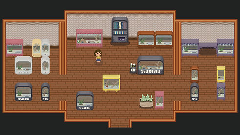 Bug and Seek Logo.jpg