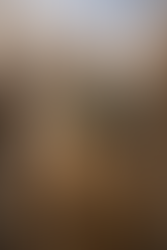 6. Heroes and Villain of the War of 1812 - The Battle of Detroit and the Invasion of Canada… by the U.S.