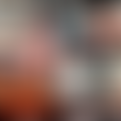 HAVOC & HAZE 4 RESULTS