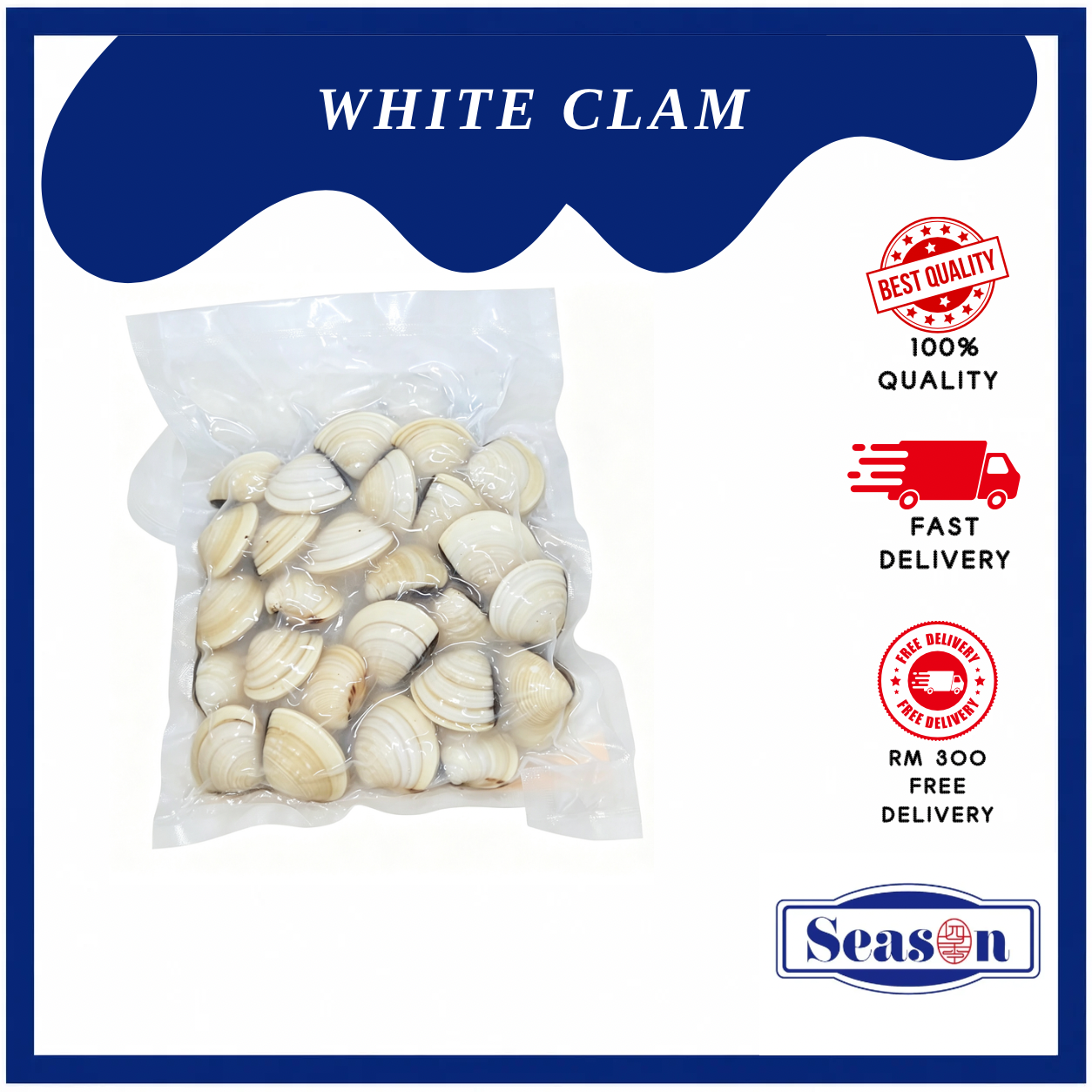 WHITE CLAM