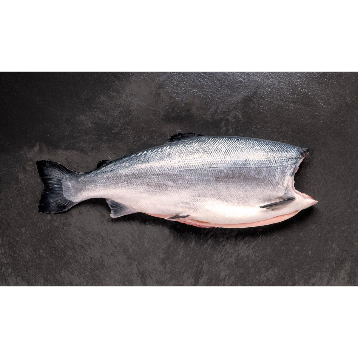 COHO SALMON - HEADLESS
