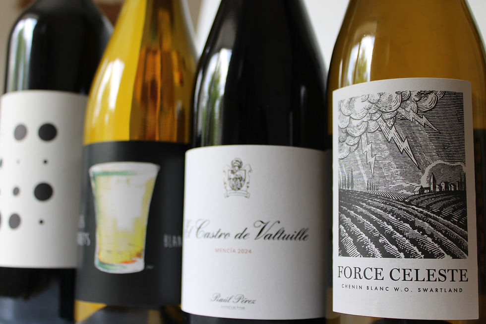 Wine tasting @HEM - The rebellion against boring wine!