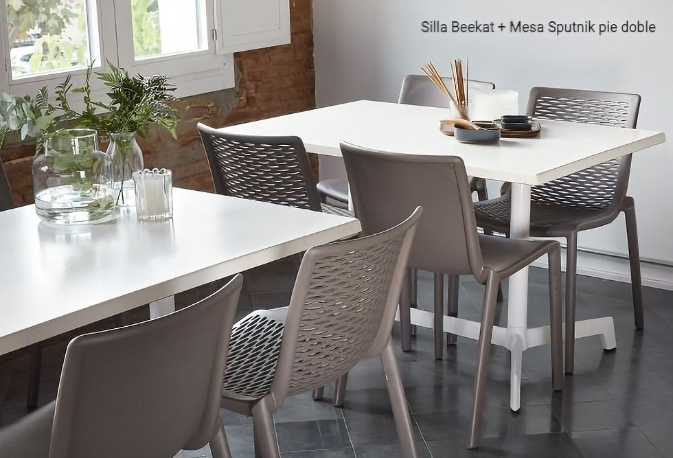 Miniatura: silla de pp con fibra de vidrio para restaurantes, cafeterías