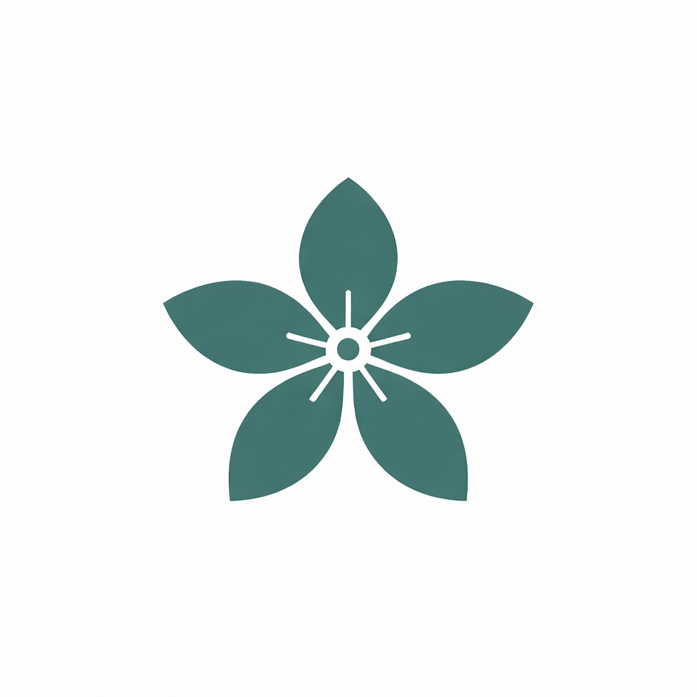 Starting With Imagination