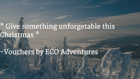 Its not too late, for Christmas presents