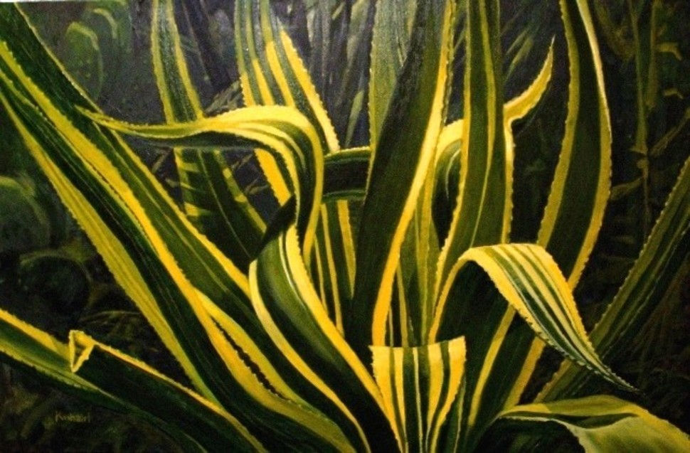 Elegance, SOLD