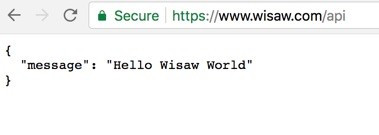 WiSaw on the web