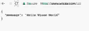 WiSaw on the web