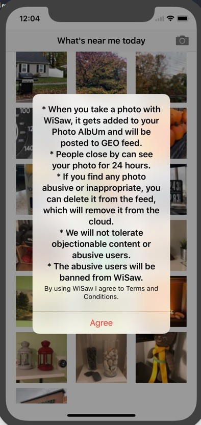 WiSaw T&C screen