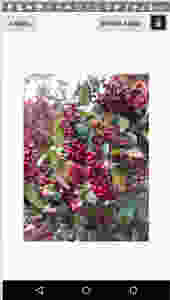 WiSaw Android detailed photo view