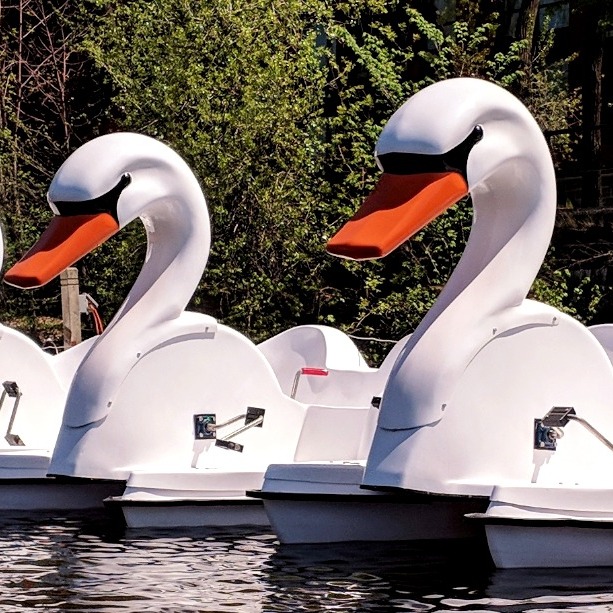 Rentals H2O Adventures