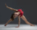 dana sheldon-077-edit.jpg