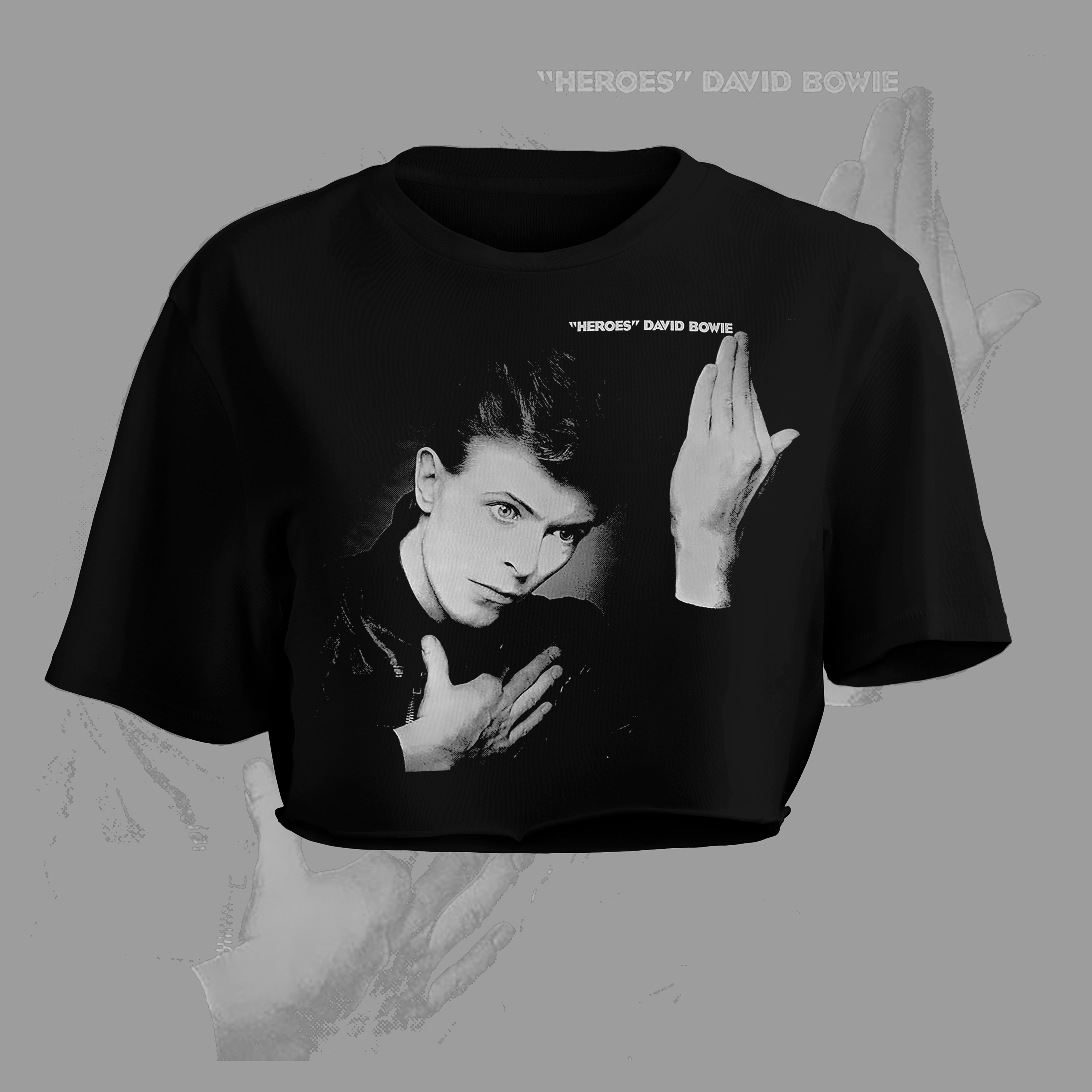 ALBUM COVER - DAVID BOWIE - Cropped