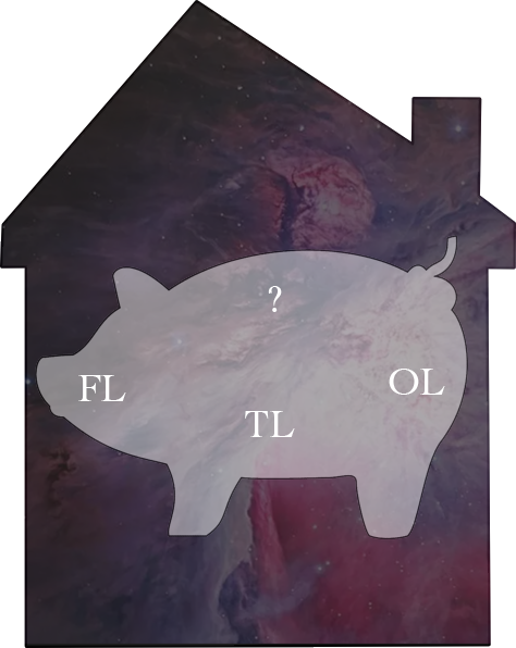 nebula pig.png