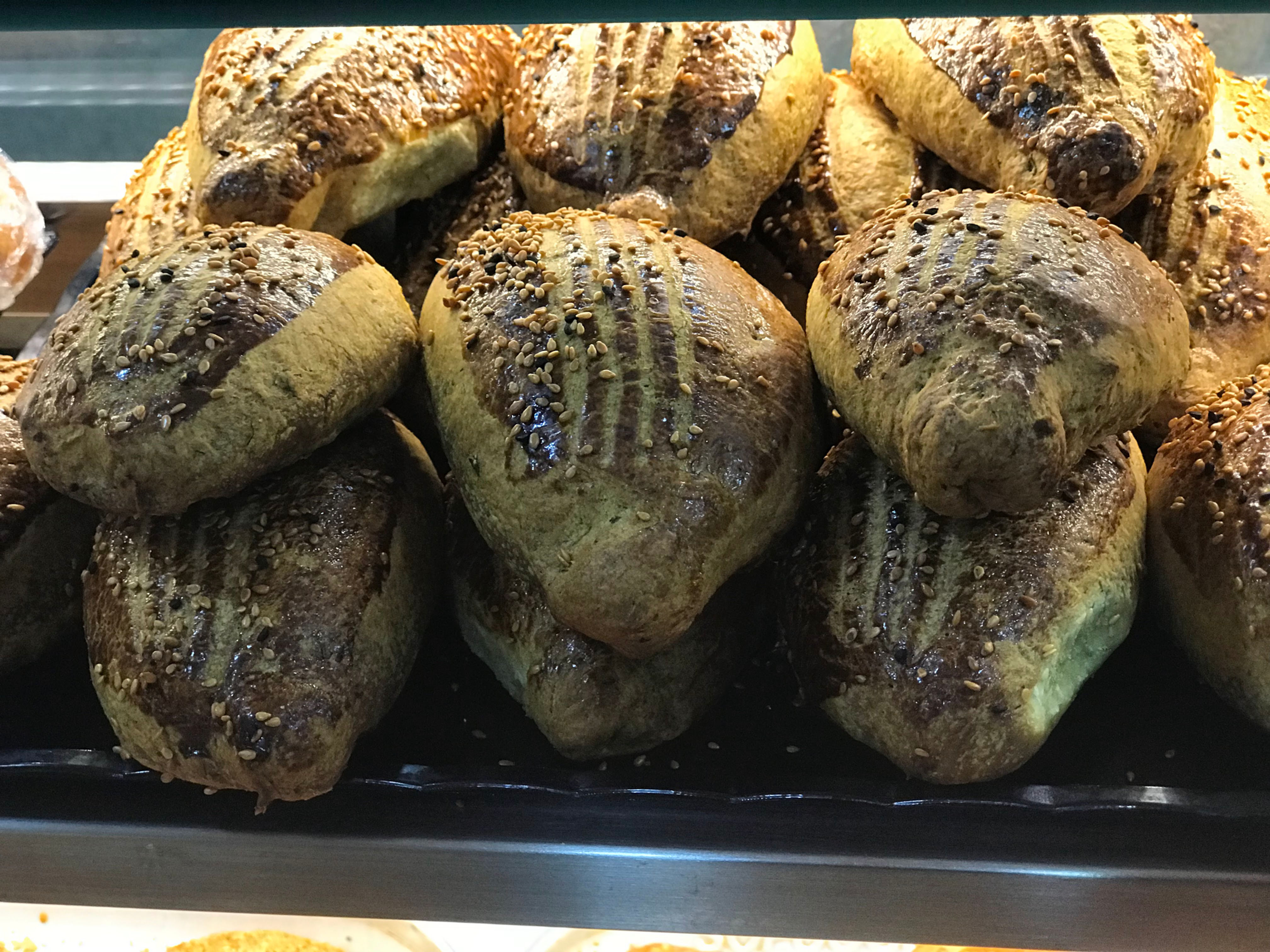 კამა პოგაკა 