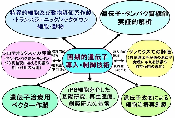 大阪大学大学院 薬学研究科 分子生物学分野